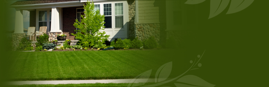 Premium Lawn Service is a full service lawn care specialist. From planting shrubs to mowing your yard to fertilizing your lawn, we do it all!